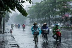 Ảnh minh họa. (Nguồn: Vietnam+)