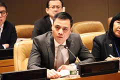 Đại sứ Đặng Hoàng Giang, Trưởng Phái đoàn đại diện thường trực Việt Nam tại Liên hợp quốc. (Ảnh: TTXVN phát)