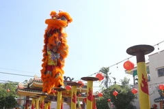 Múa Lân trên mai hoa thung luôn đòi hỏi sự hợp tác ăn ý và kỹ thuật khéo léo của 2 người. (Ảnh: Lê Thúy Hằng/TTXVN)