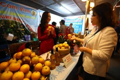 Một gian hàng tại triển lãm. (Ảnh: Huy Hùng/TTXVN)