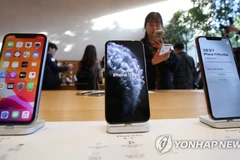 Bộ ba iPhone 11, iPhone 11 Pro và iPhone 11 Pro Max được bày bán trong một cửa hàng ở Seoul, ngày 25/10. (Nguồn: Yonhap)
