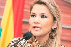 Phó Chủ tịch Thượng viện Bolivia Jeanine Anez. (Nguồn: baenegocios.com)