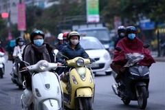 Ảnh minh họa. (Nguồn: TTXVN)