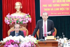 Phó Thủ tướng Trương Hòa Bình phát biểu tại buổi làm việc. (Ảnh: Chu Quốc Hùng/TTXVN)