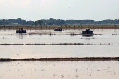 Ảnh minh họa. (Ảnh: Lê Huy Hải/TTXVN)