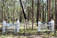 Các nhà khoa học làm việc tại trang trại thi thể. (Nguồn: universityaffairs.ca)