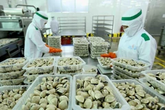 Đóng gói sản phẩm ngao nguyên con đông lạnh tại nhà máy của Công ty Thủy sản Lenger Việt Nam. Ảnh minh họa. (Ảnh: Vũ Sinh/TTXVN)