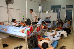 Các bệnh nhân sốt xuất huyết phải nằm ghép giường do quá tải. (Ảnh: Văn Tý/TTXVN)