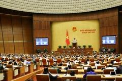 Quang cảnh phiên họp sáng 30/10. (Ảnh: Dương Giang/TTXVN)