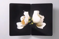 Máy tính Surface Neo hai màn hình của Microsoft. (Nguồn: CNBC)