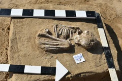 Một phần của ngôi mộ được phát lộ. (Nguồn: egypttoday.com/)