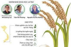 [Infographics] Vinh danh tác giả của gạo ST25 ngon nhất thế giới