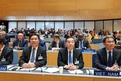 Đoàn Việt Nam tham dự hội nghị. (Nguồn: TTXVN phát)