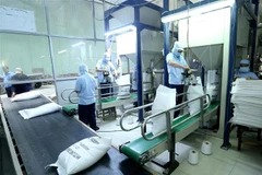 Đóng bao sản phẩm gạo xuất khẩu tại công ty Lương thực Sông Hậu (Sông Hậu Food), thành phố Cần Thơ. (Ảnh: Vũ Sinh/TTXVN)