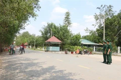 (Ảnh minh họa: Thanh Bình/TTXVN)