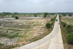 (Ảnh minh họa: Hồ Cầu/TTXVN)