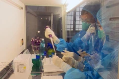 Nhân viên y tế tại Bệnh viên Đa khoa tỉnh Phú Yên xét nghiệm các mẫu bệnh phẩm. (Ảnh: Lâm Triệu/TTXVN)