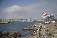 Quang cảnh cảng Long Beach ở Los Angeles, California, Mỹ, ngày 22/1/2020. (Ảnh: THX/TTXVN)