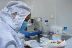 Ảnh chỉ có tính minh họa. (Nguồn: THX/TTXVN)