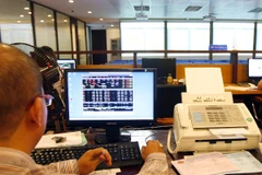 Ảnh minh họa. (Nguồn: TTXVN)