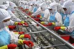 Thủy sản Minh Phú đưa cổ phiếu lên giao dịch trên UpCoM, ngày 16/10. (Ảnh: HSX)