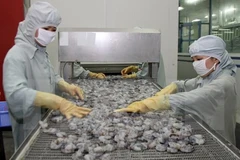 Ảnh minh họa. ( Nguồn: TTXVN)