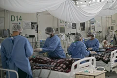 Chăm sóc bệnh nhân COVID-19 tại Brazil. (Ảnh: AFP/TTXVN)