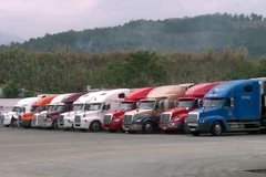 Ảnh minh họa. (Nguồn: TTXVN) 