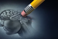 Ảnh minh họa. (Nguồn: AAAS)