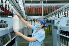 Chuyên gia Nga: ĐCS Việt Nam luôn có vai trò lãnh đạo quan trọng