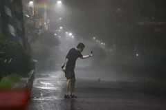 Hàn Quốc: Thành phố Busan hứng chịu thiệt hại do bão Maysak