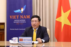 Phó Thủ tướng tham dự Phiên họp trực tuyến cấp cao của HĐBA LHQ