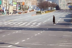 Phun thuốc khử trùng tại Daegu. (Ảnh: AP)