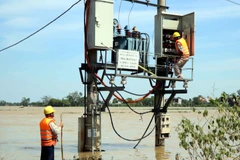 Khắc phục sự cố điện lưới chuẩn bị ứng phó với bão số 8. (Ảnh: Công Tường/TTXVN)