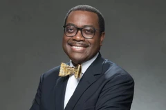 Chủ tịch AfDB Akinwumi Adesina. (Ảnh: Thisdaylive)