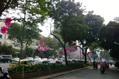 Đường Lê Lợi, quận 1, TP. HCM. (Ảnh: Wikimedia)