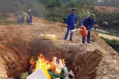 Lực lượng chức năng tiêu hủy trứng nhập lậu.