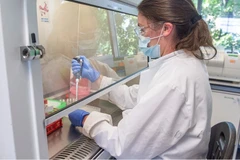 Phòng thí nghiệm của Đại học Oxford ở Anh. (Ảnh: AP/TTXVN)