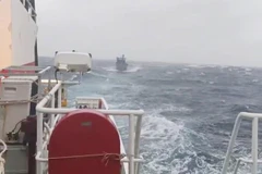 Bình Định: Tàu kiểm ngư cứu nạn thành công tàu cá hỏng máy