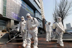 Khử trùng tại Daegu để phòng COVID-19. (Ảnh: AP)