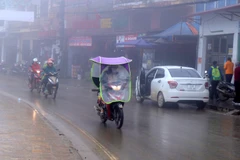 Ảnh minh họa. (Nguồn: TTXVN) 