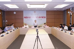 Phiên họp trực tuyến lần thứ 30 của Ủy ban Pháp luật của Quốc hội. (Ảnh: Doãn Tấn/TTXVN)