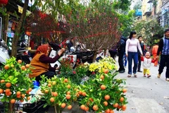 Câu hỏi thường gặp dịp năm mới: Có nên bỏ Tết Ta để ăn Tết Tây?