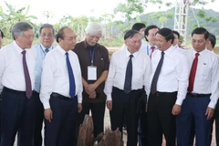 Thủ tướng Nguyễn Xuân Phúc cùng các đại biểu tham quan Khu bảo tồn cọc Cao Quỳ. (Ảnh: Thống Nhất/TTXVN)