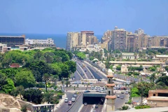 Khơi dậy tiềm năng, thúc đẩy hợp tác kinh tế giữa Việt Nam và Ai Cập