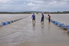 [Video] Hậu quả ghê gớm mà cơn bão Goni gây ra tại Philippines