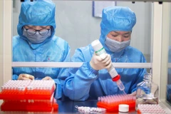 Ảnh minh họa. (Nguồn: Reuters)