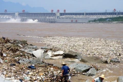 Sông Dương Tử bị ô nhiễm nghiêm trọng. (Ảnh: AFP/Getty)