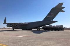 Chiếc máy bay chở kit xét nghiệm về nước. (Ảnh: Twitter) 