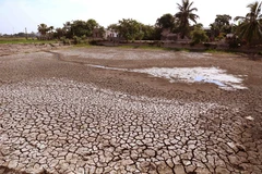 Ảnh minh họa. (Nguồn: Vũ Sinh/TTXVN)